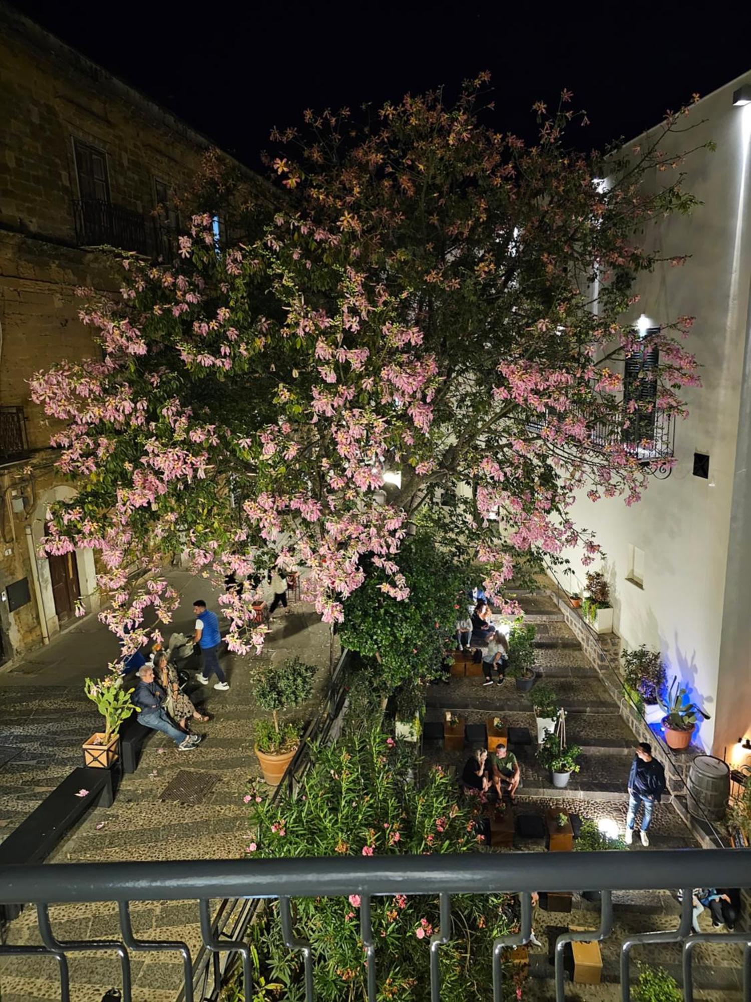 Villa Di Giorgi Apartments Center Cefalù Eksteriør billede